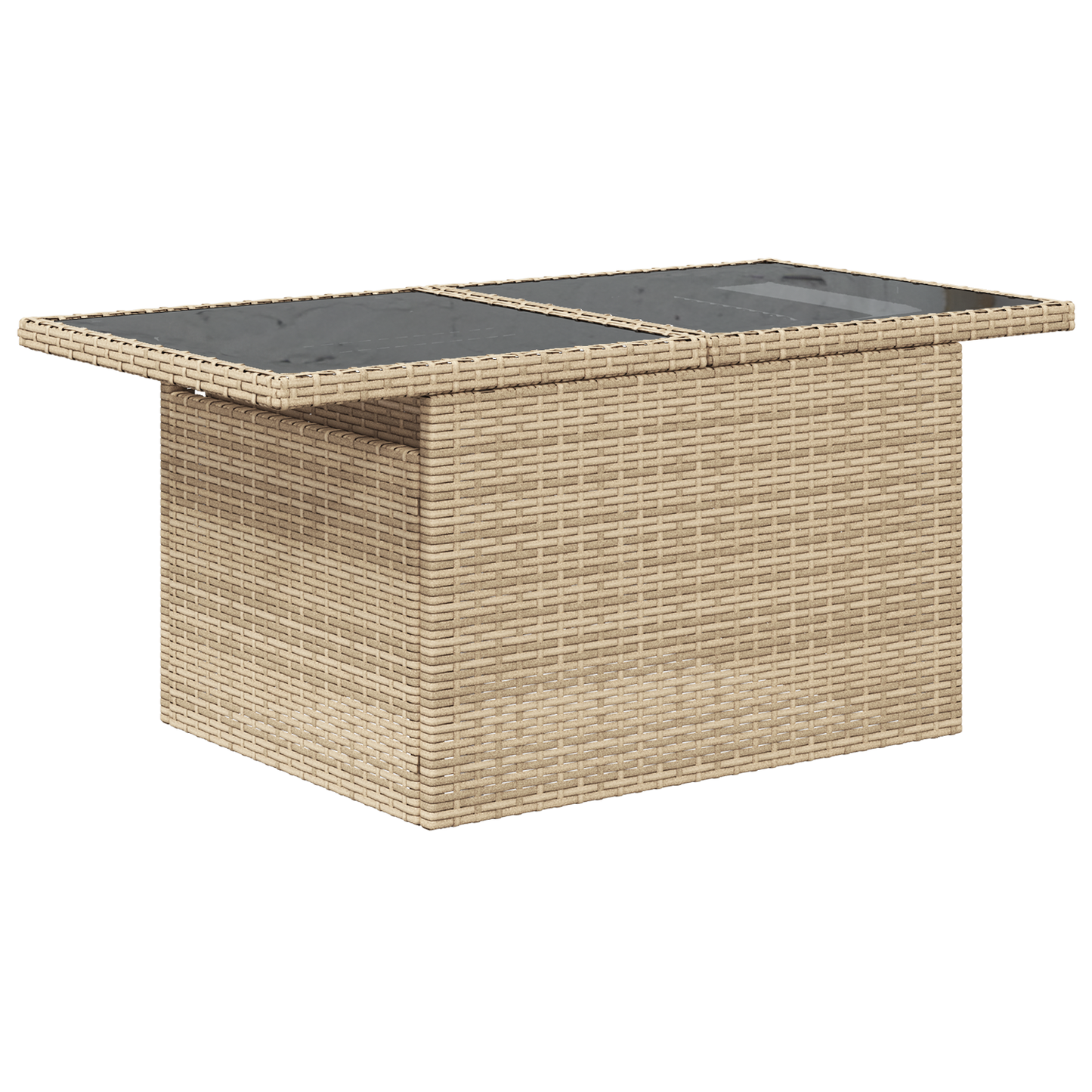 10-Delers Havemøbelsæt Med Puder Beige Poly Rattan