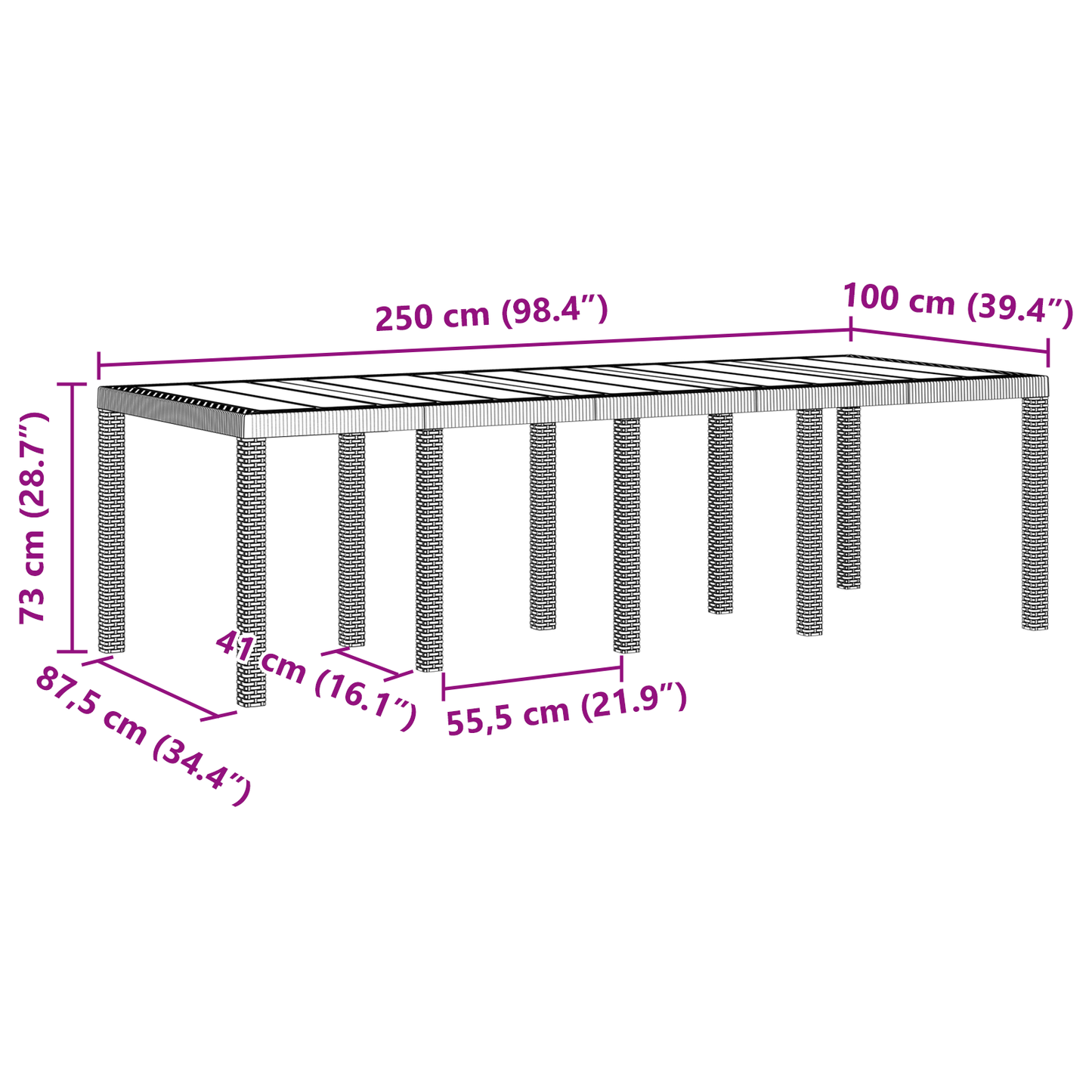 Havebord Antracitgrå 250X100X73 Cm Poly Rattan