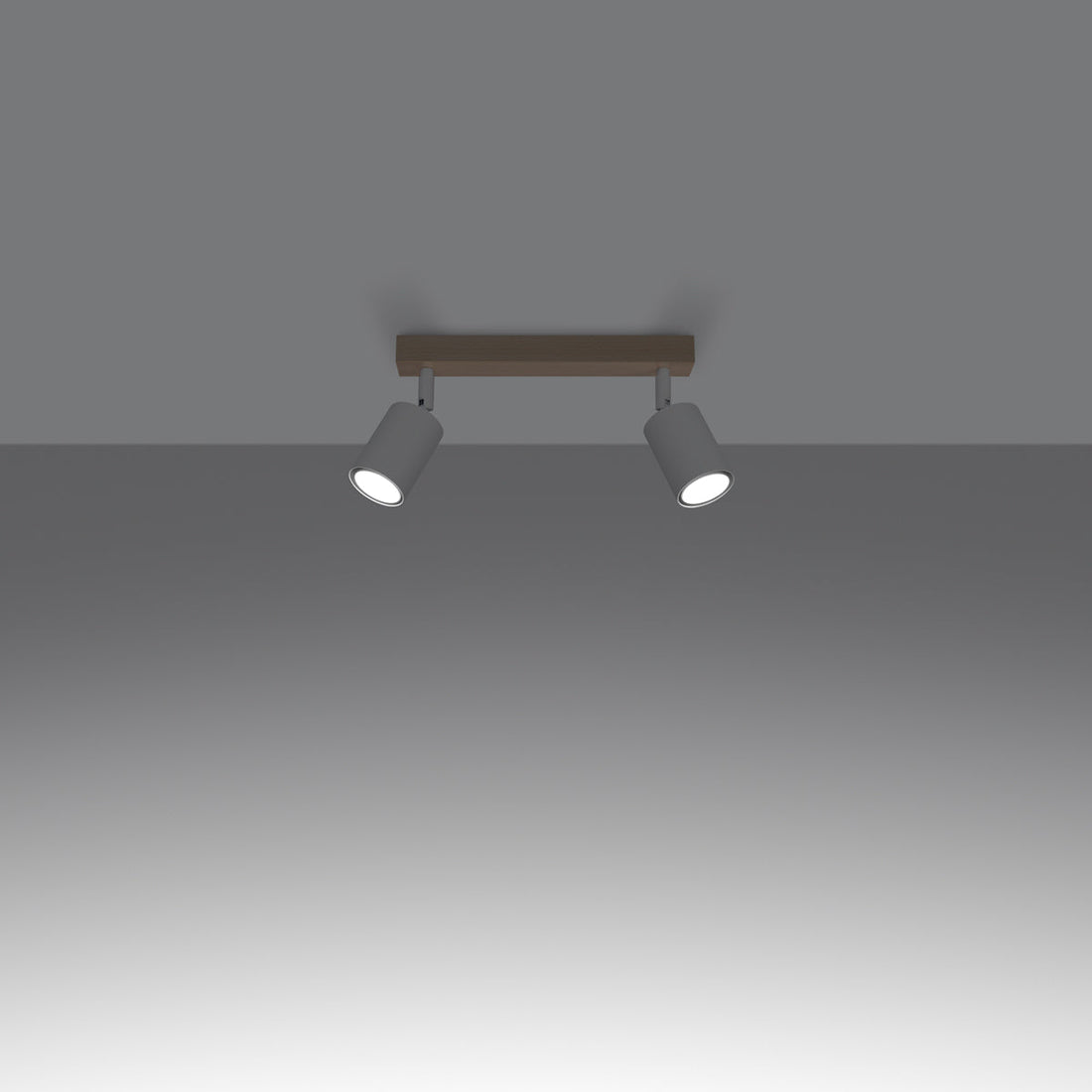 Loftlampe VERDO 2