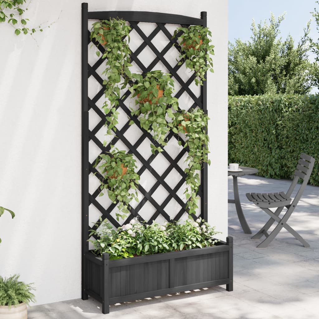 Plantekasse med espalier i sort massivt grantræ