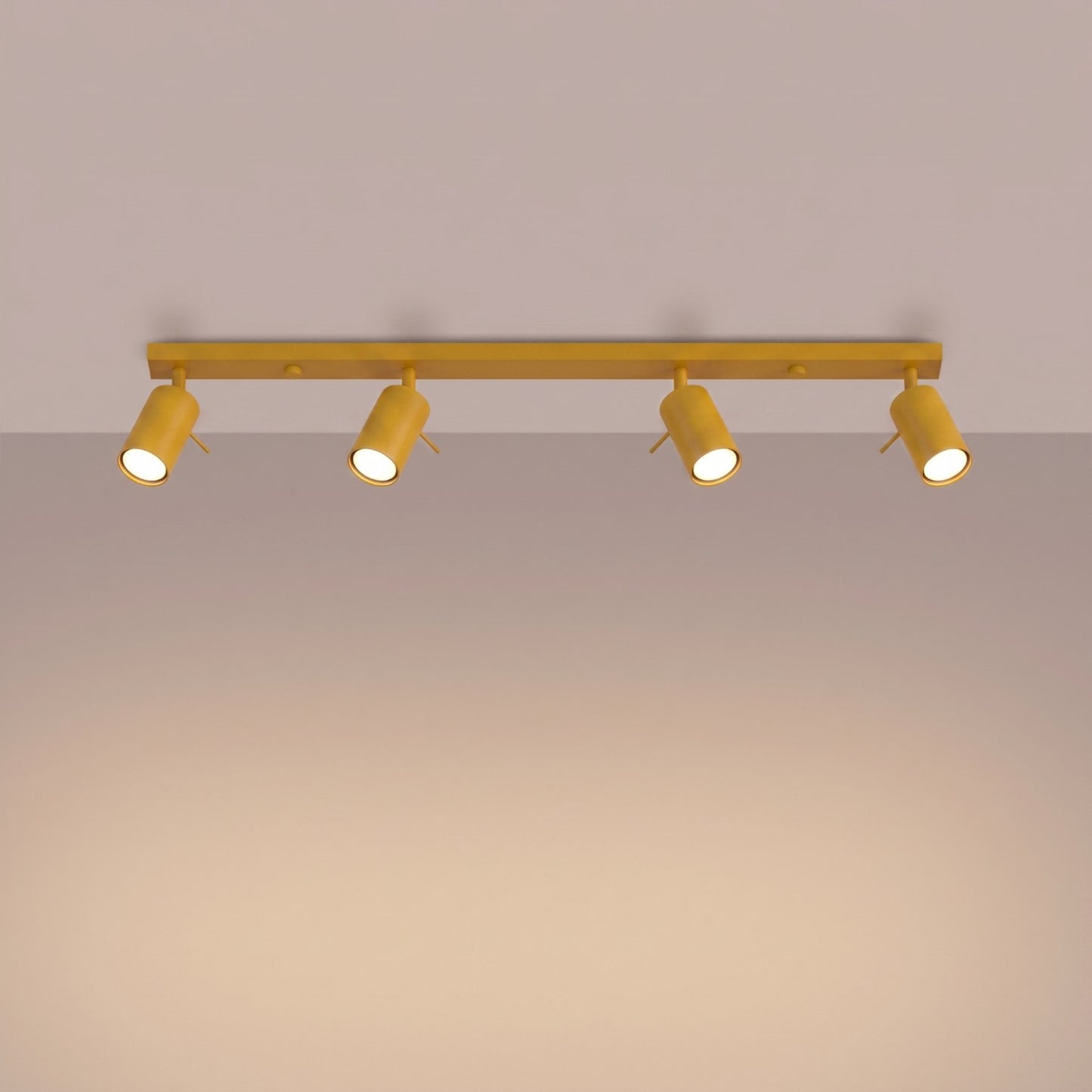 Loftlampe RING 4L - Variant SL.2187