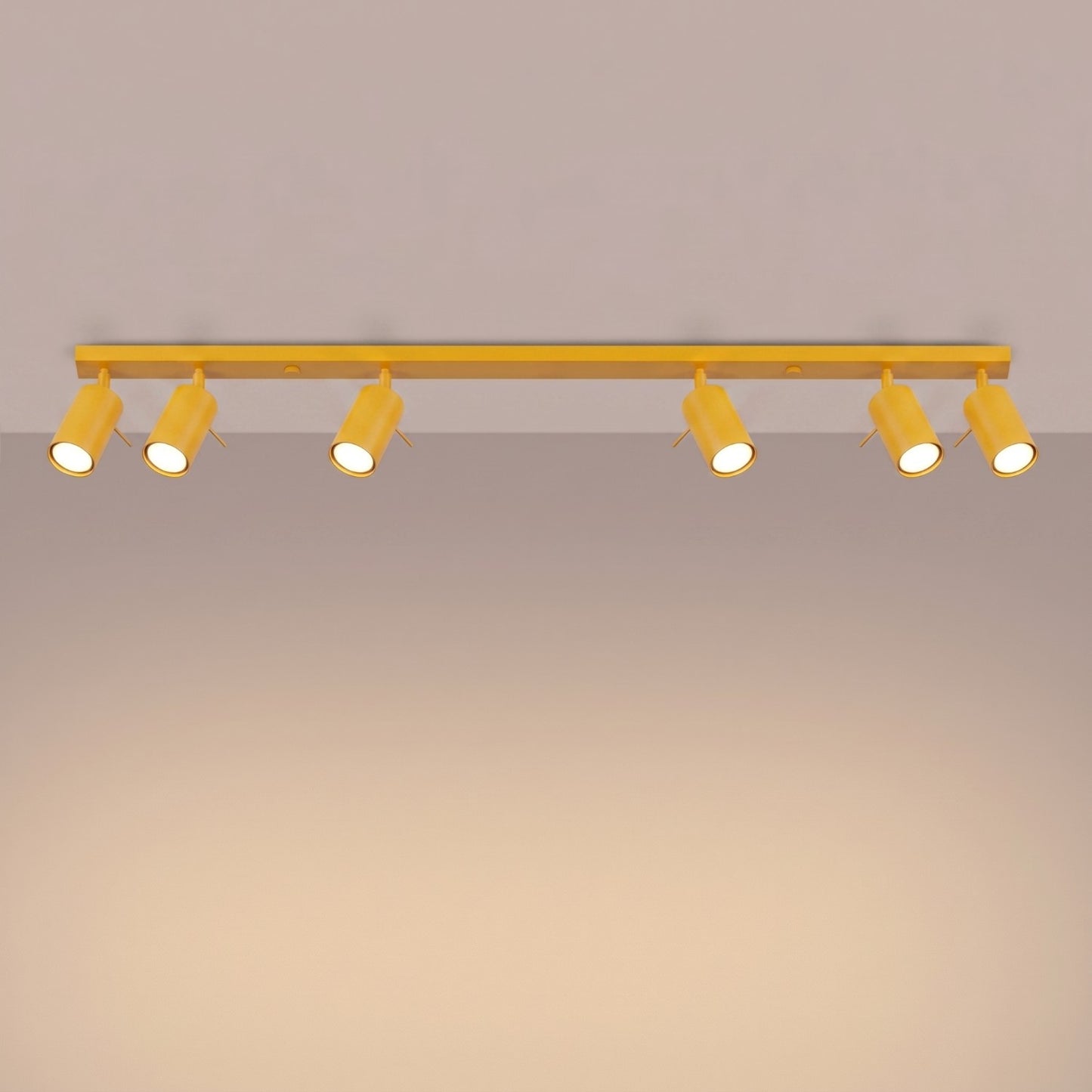 Loftlampe RING 6L - Variant SL.2188