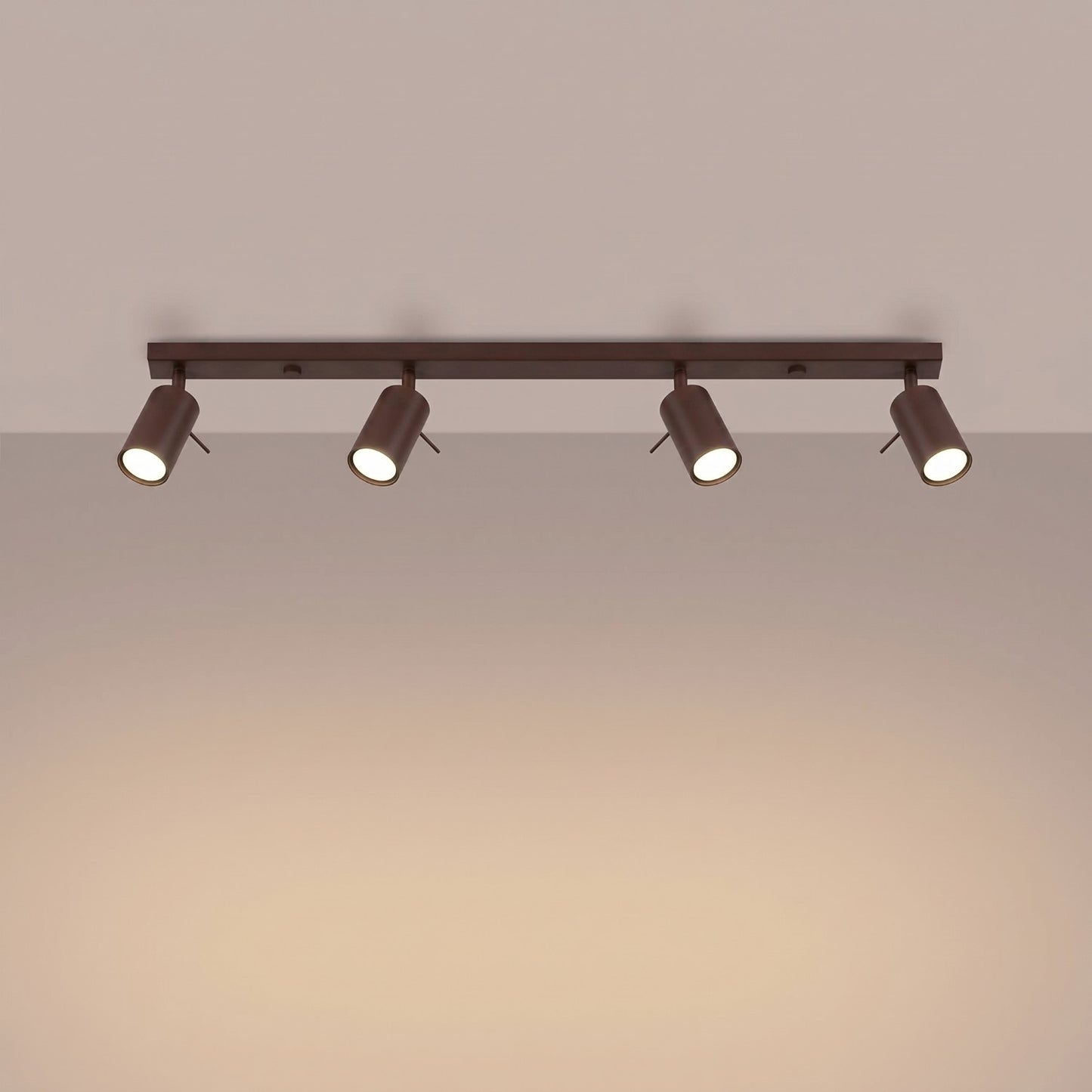 Loftlampe RING 4L - Variant SL.2199