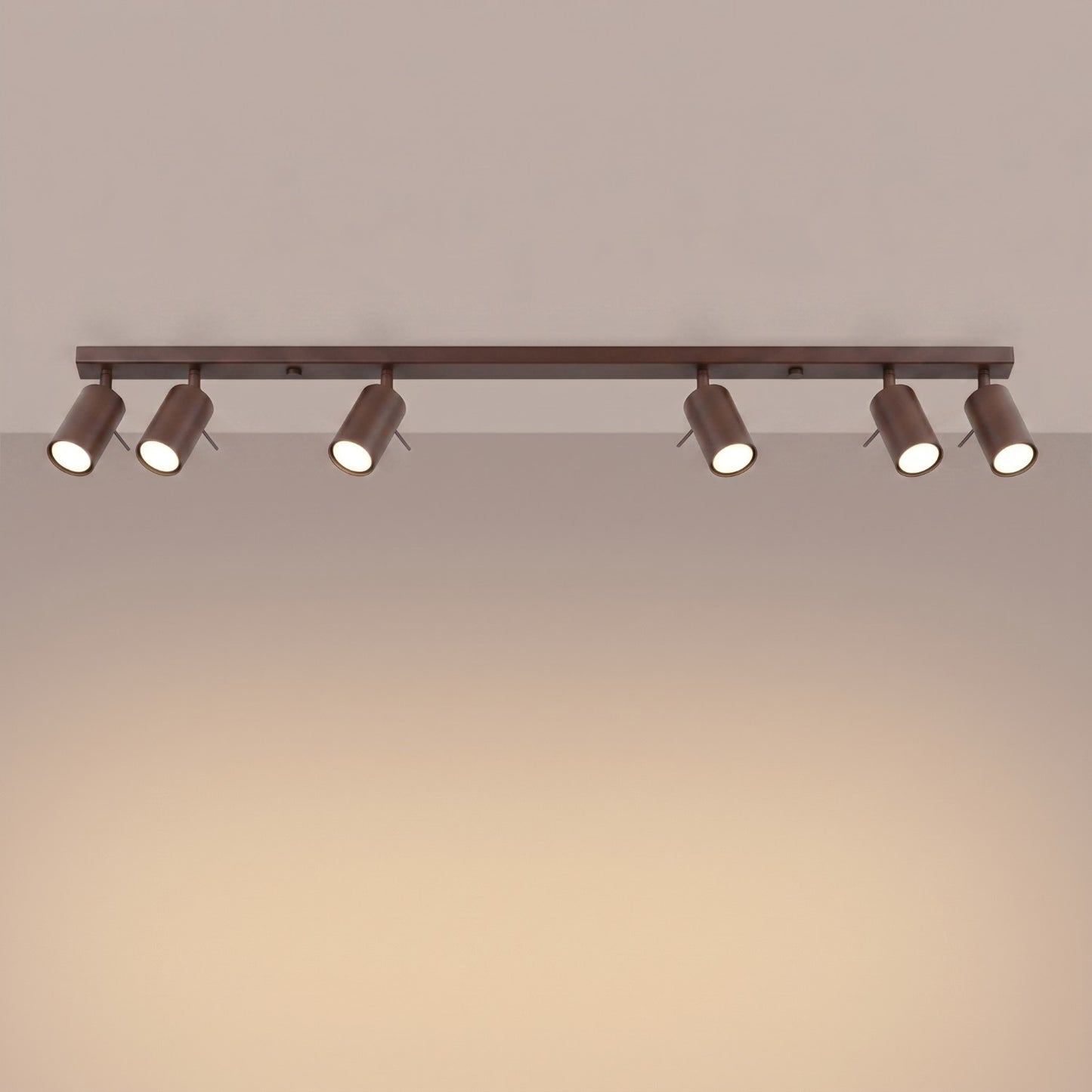 Loftlampe RING 6L - Variant SL.2200