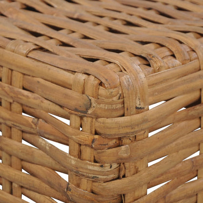 Med Hynde Naturlig Rattan - Billede 3