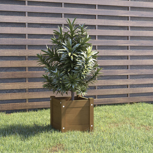 Plantekasse 31x31x31 Cm Massivt Fyrretræ - Hovedbillede