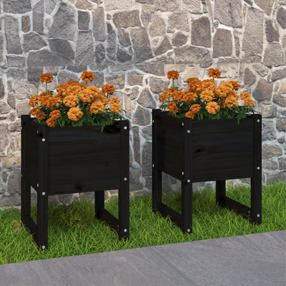 Plantekasse Massivt Fyrretræ - Variant 822116