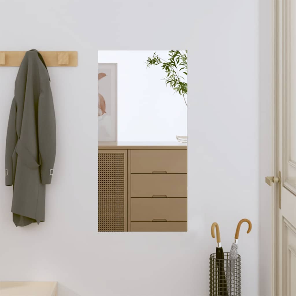 Vægspejl 30x60 Cm Rektangulær Glas - Hovedbillede