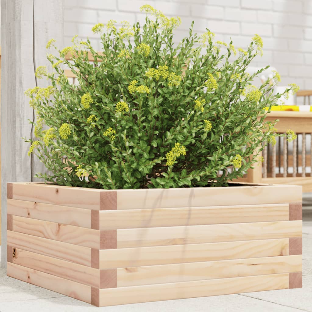 Plantekasse Massivt Fyrretræ - Variant 847183