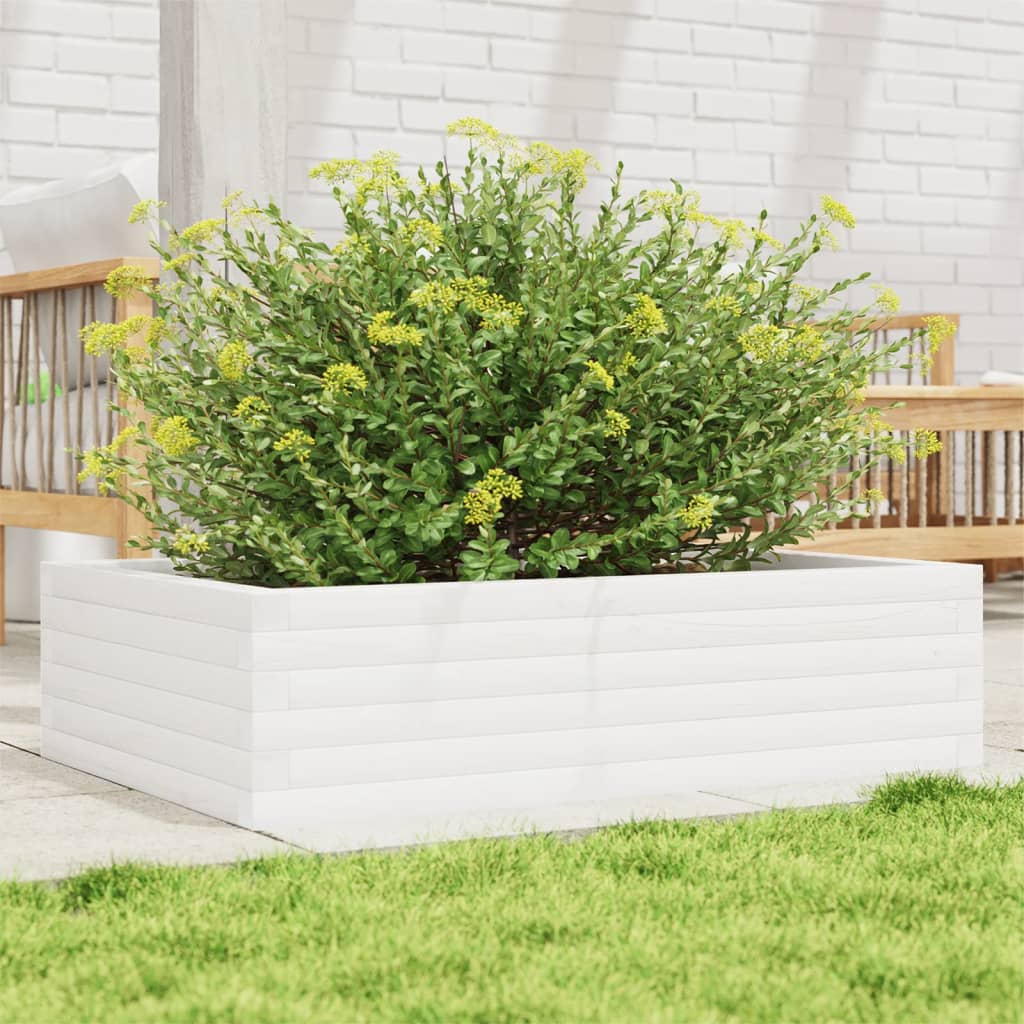 Plantekasse Massivt Fyrretræ - Variant 847234