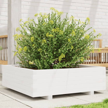 Plantekasse Massivt Fyrretræ - Variant 847309