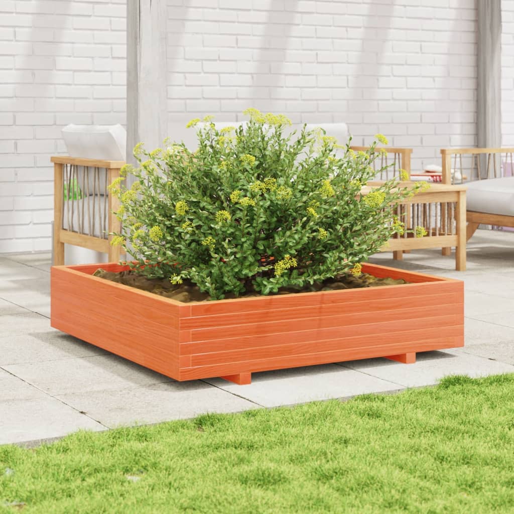 Plantekasse Massivt Fyrretræ - Variant 847325