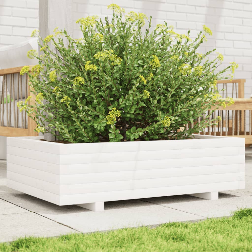 Plantekasse Massivt Fyrretræ - Variant 847344