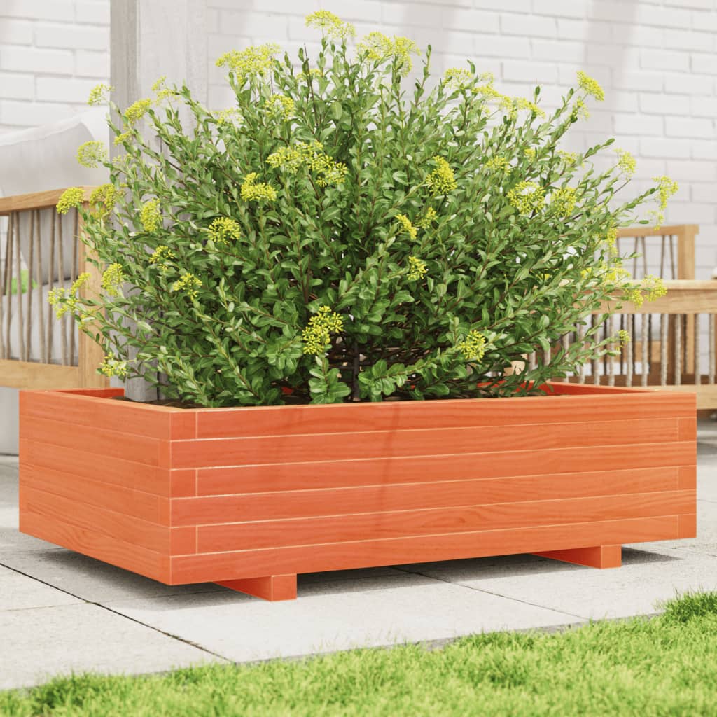 Plantekasse Massivt Fyrretræ - Variant 847345
