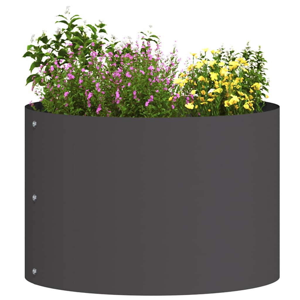 Plante Ring 30 X 30 X 20 Cm Koldvalset Stål - Billede 3