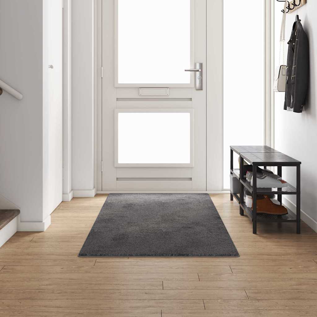 Tæppe Runner 100 X 300 Cm 100% Polypropylen Tuft - Hovedbillede