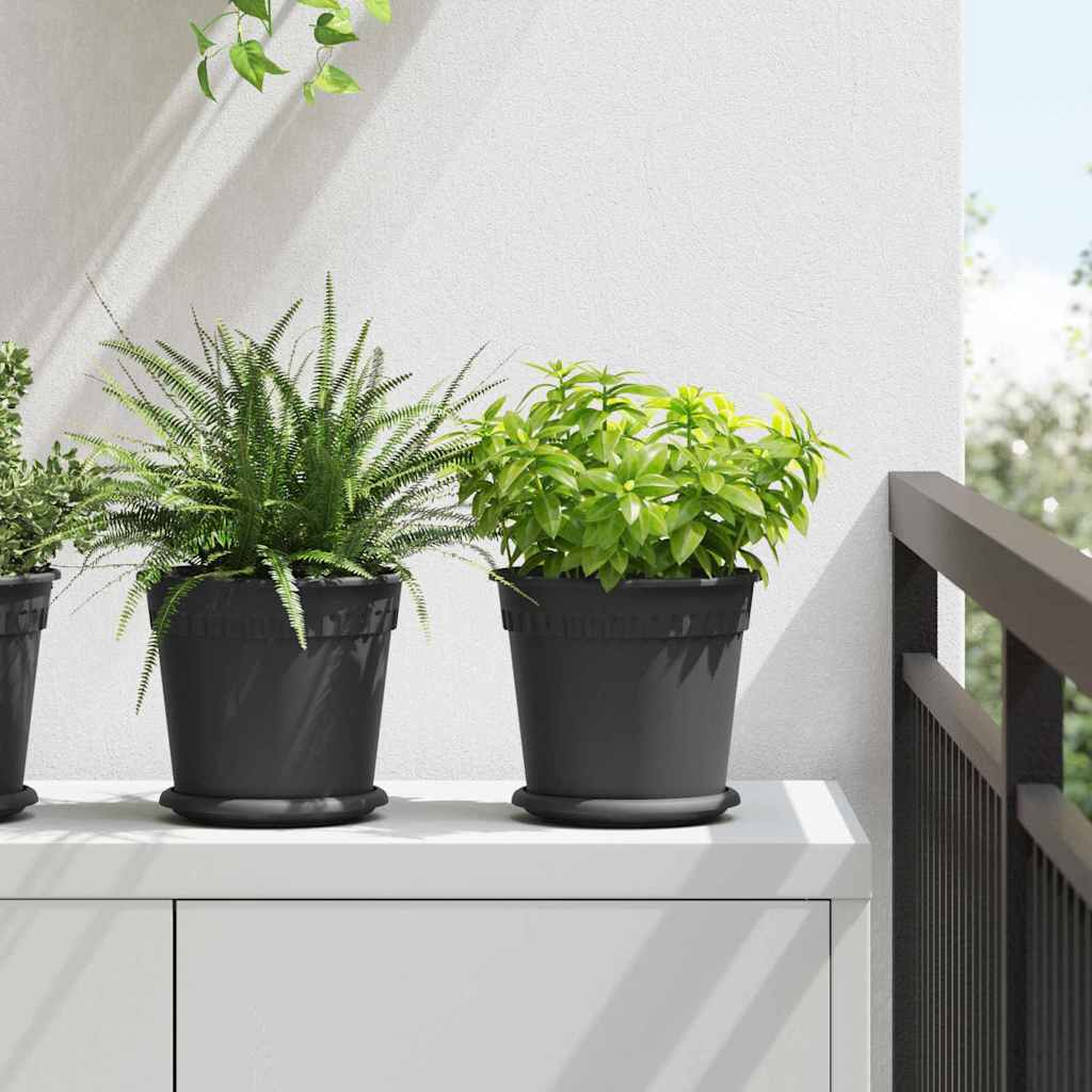 Plantepotter 6 Dele Ø 19 X 16 Cm Plastik - Hovedbillede