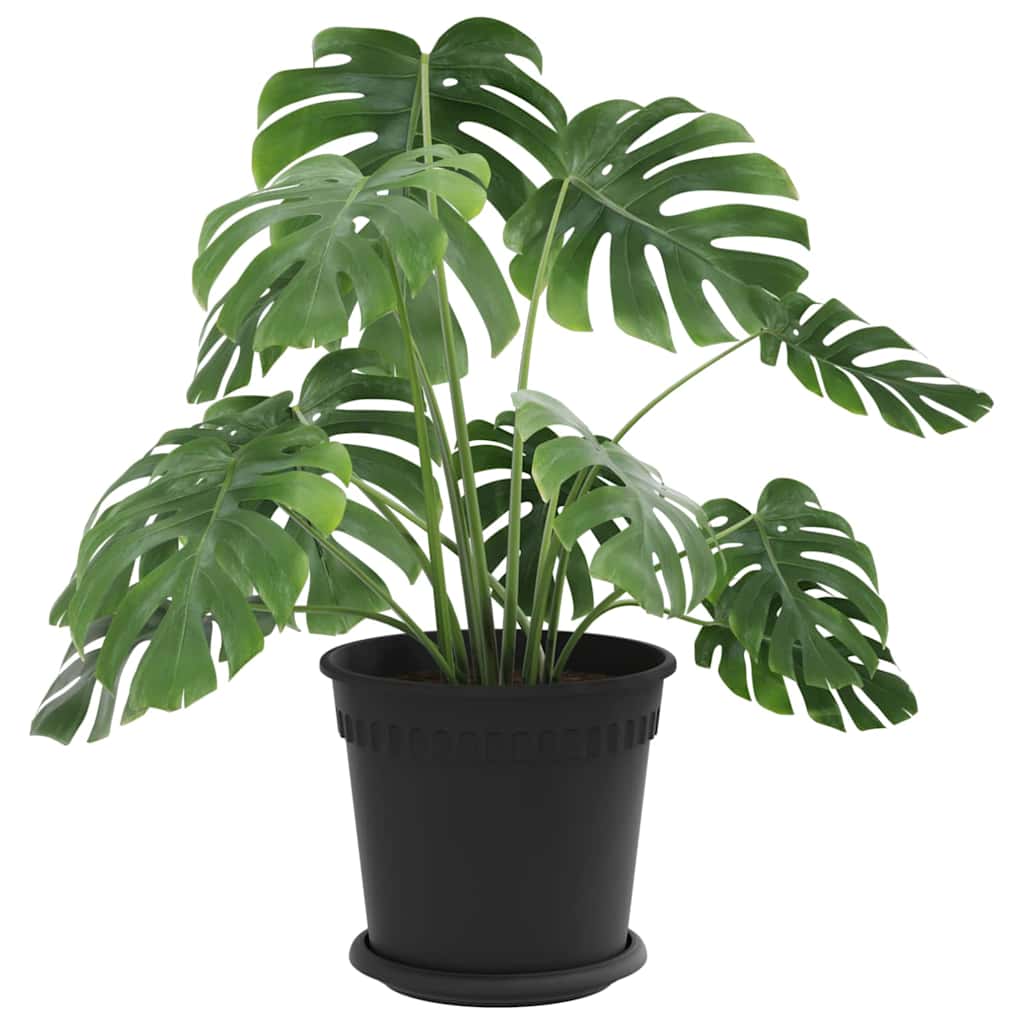 Plantepotter 6 Dele Ø 19 X 16 Cm Plastik - Billede 3