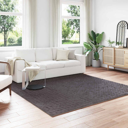 Områdetæpper Firkantet Sirolo Antracit 240 X 240 Cm Polyester - Hovedbillede