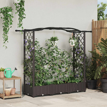 Hævet Bed Med Trellis Og Tag 169 X 40 X 123 Cm Pp - Hovedbillede