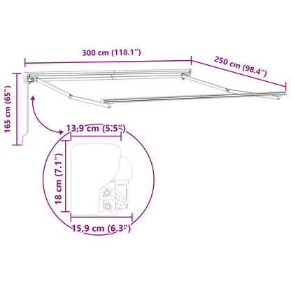 Utrækkelig Markise Hvid 300x250 Cm Polyester - billede 11