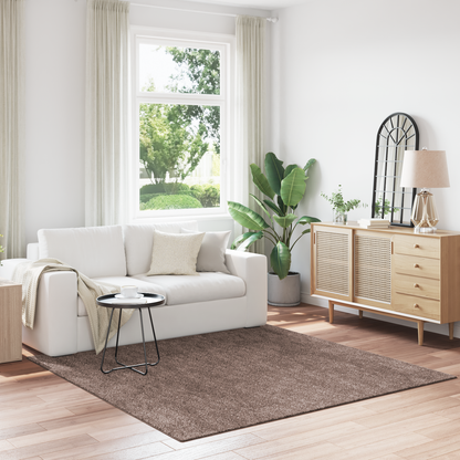 Langhåret Tæppe Med Latex Baggrund Brun 200X200 Cm